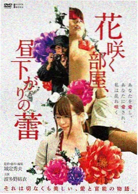 汉江以北剧集封面